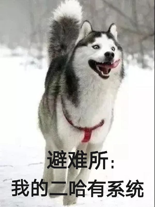 避难所：我的二哈有系统小说完整版全文免费阅读