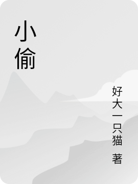 洛屿洛柠小说叫什么，小偷免费阅读