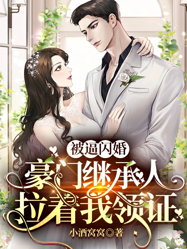 求谌扬苏念小说免费资源