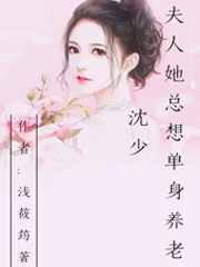 沈少，夫人她总想单身养老林玥汐沈亦君免费阅读
