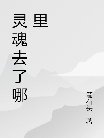 灵魂去了哪里免费阅读，灵魂去了哪里章节目录