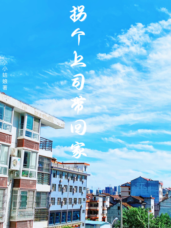 主角周绍宸温暖小说拐个上司带回家免费阅读