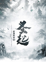 圣起小说主角洛夕尘全文章节免费在线阅读