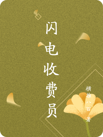 求闪电收费员小说免费资源