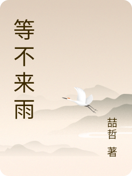 沈叶云宋景辰小说叫什么，等不来雨免费阅读
