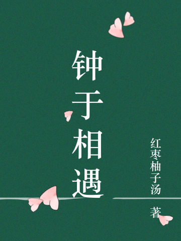 已完结小说《钟于相遇》全章节在线阅读