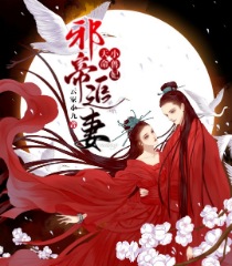 邪帝追妻：天命小兽妃免费阅读