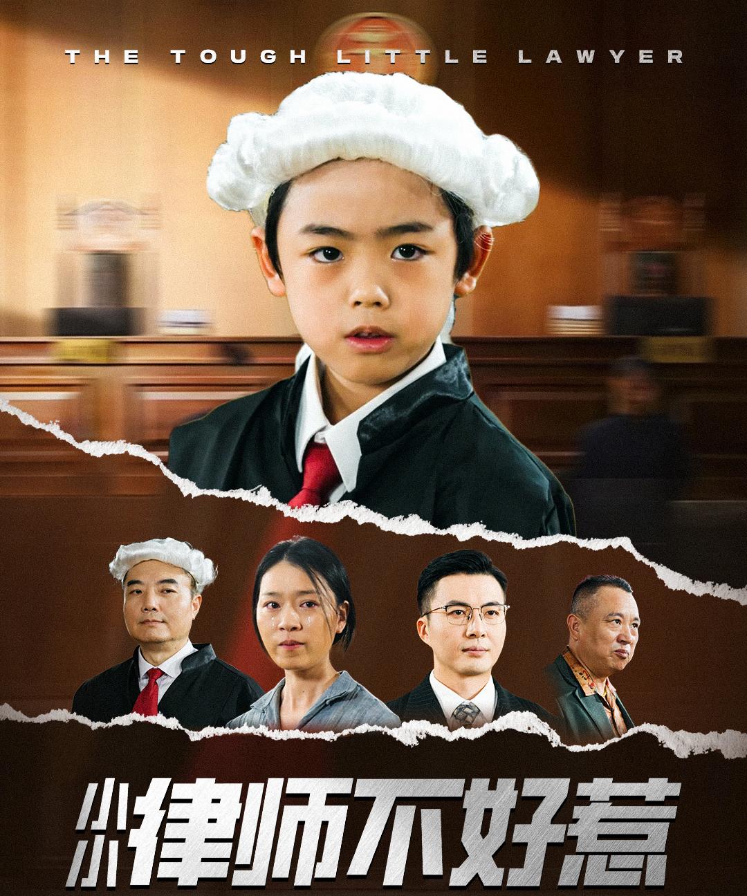 小小律师不好惹