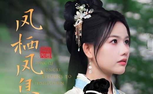 凤栖凤息回故乡