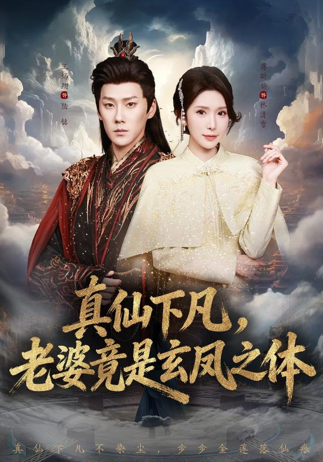 真仙下凡老婆竟是玄凤之体封面图