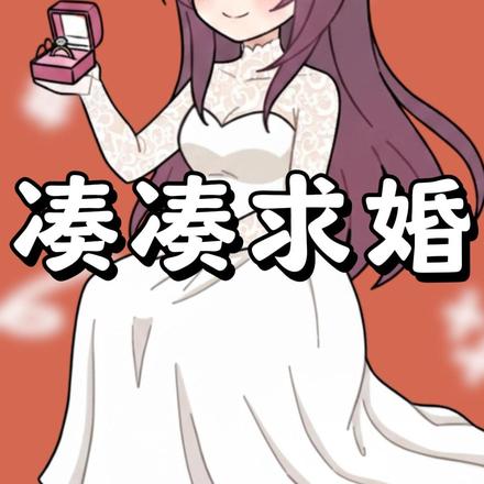 凑凑求婚封面图