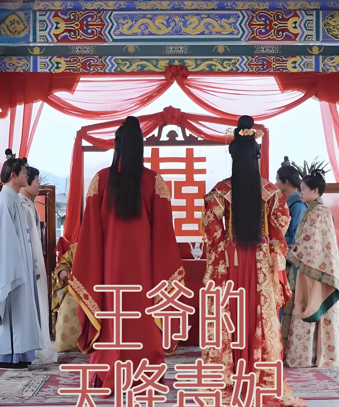 王爷的天降毒妃