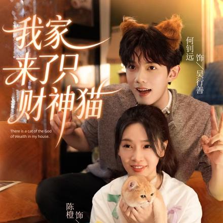 我家来了只财神猫封面图