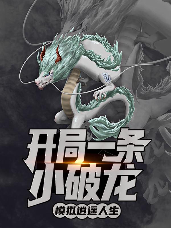 主角修炼无龙心法的小说