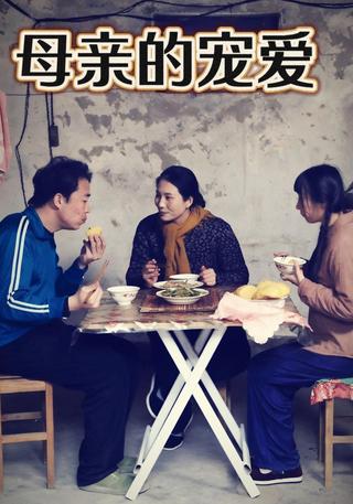 母亲的宠爱封面图