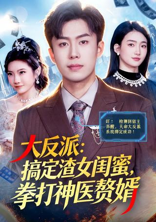 大反派：搞定渣女闺蜜拳打神医赘婿封面图