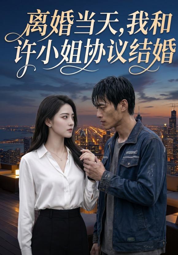 离婚当天，我和许小姐协议结婚 cover
