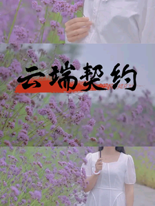 云端契约 cover