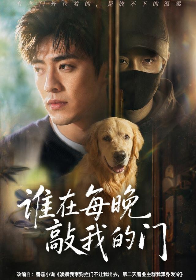 谁在每晚敲我的门 cover