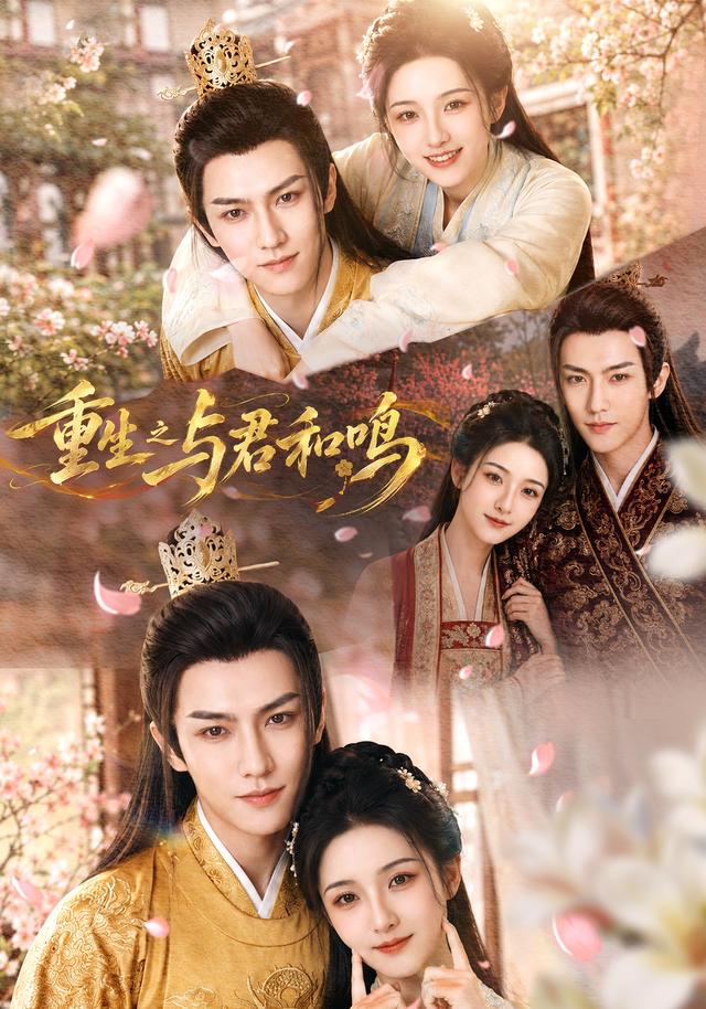 重生之与君和鸣 cover