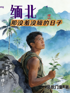 缅北:那没羞没臊的日子 cover