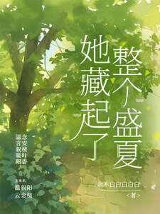 她藏起了整个盛夏 cover