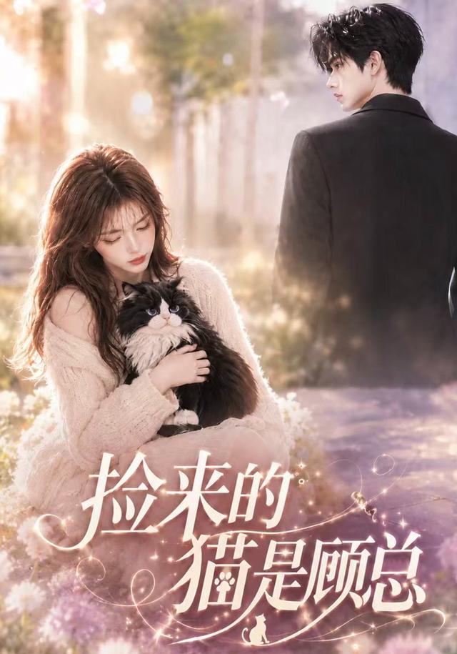 捡来的猫是顾总 cover