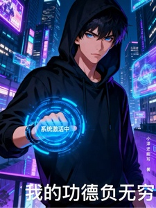 我的功德负无穷 cover