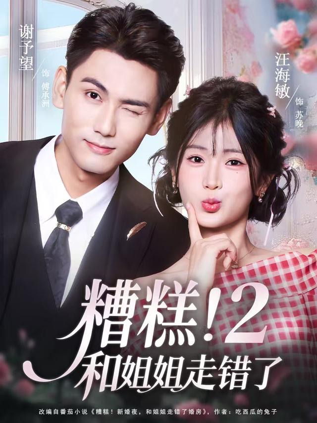 短剧糟糕！和姐姐走错了2海报