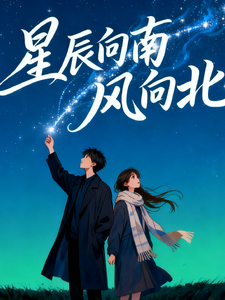 星辰向南，风向北 cover