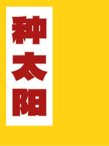 种太阳！ cover