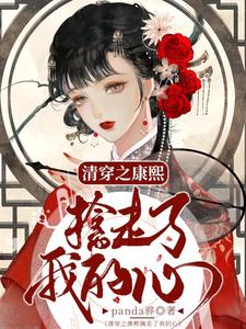 清穿之康熙擒走了我的心 cover