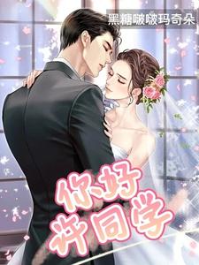 你好许同学 cover