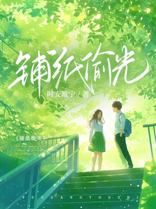 铺纸偷光 cover