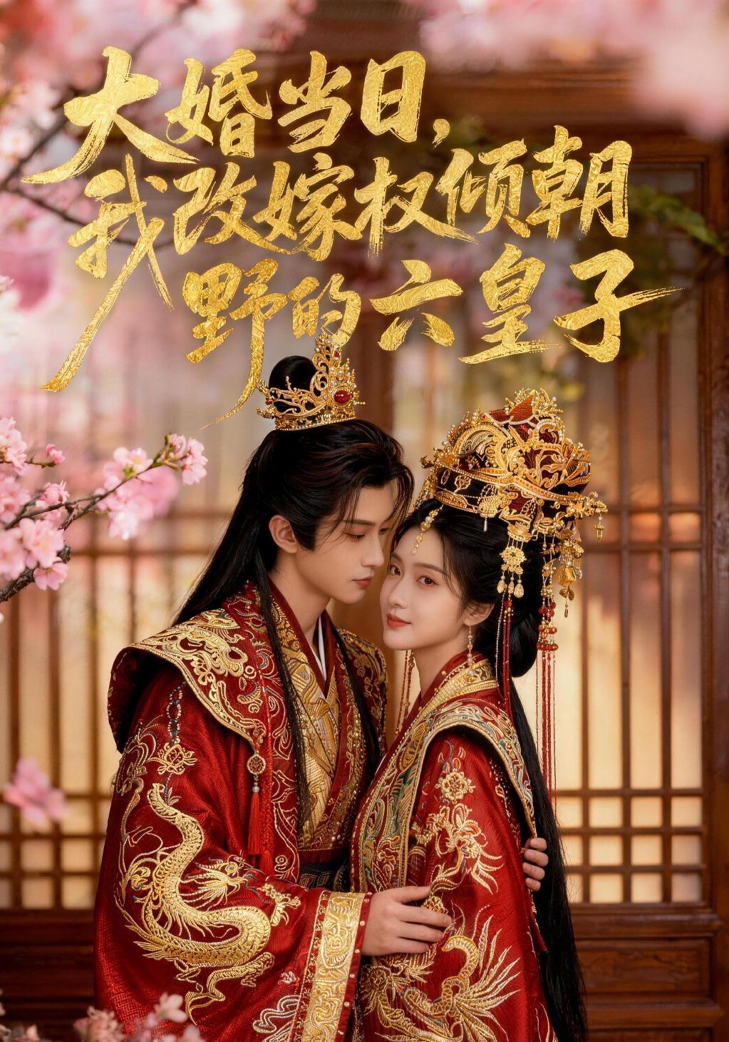 大婚当日，我改嫁权倾朝野的六皇子！