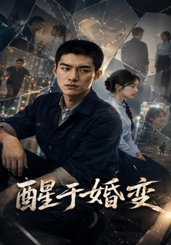 醒于婚变 cover
