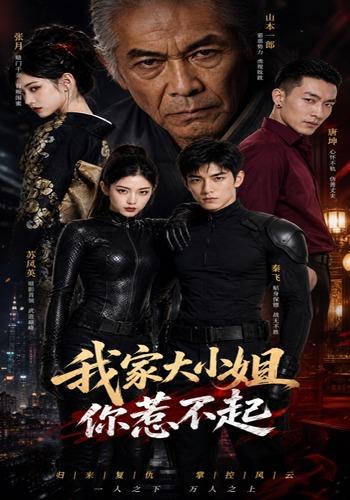 我家大小姐你惹不起 cover