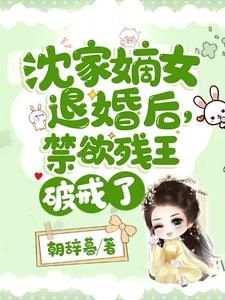 沈家嫡女退婚后，禁欲残王破戒了 cover