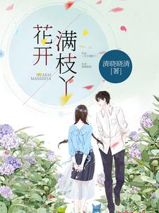 花开满枝丫 cover