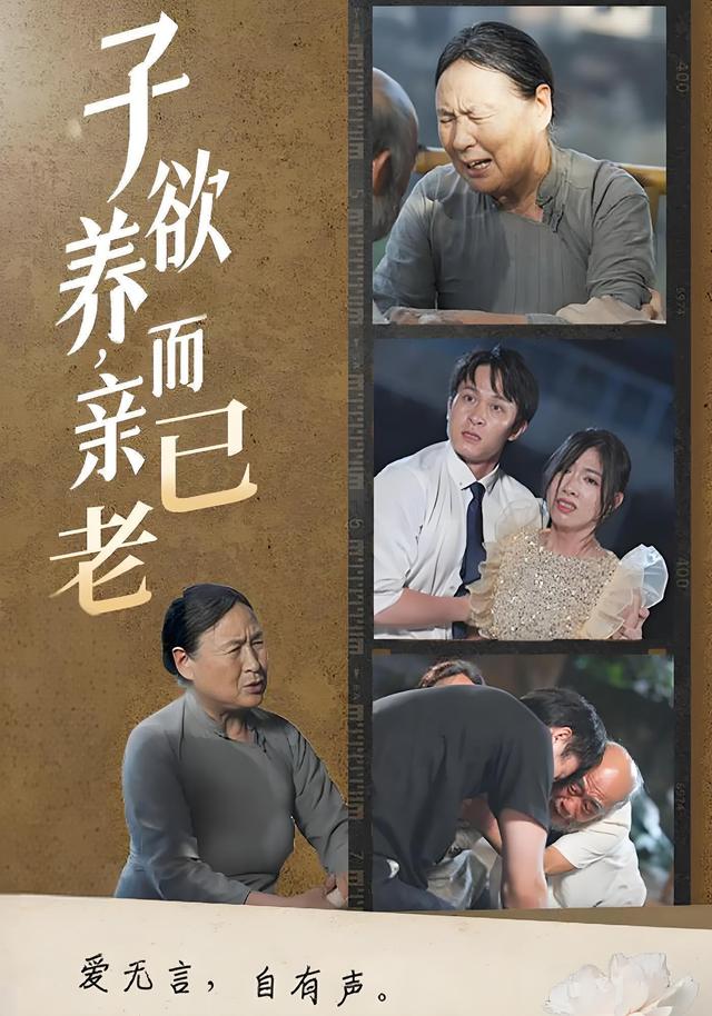 子欲养，而亲已老