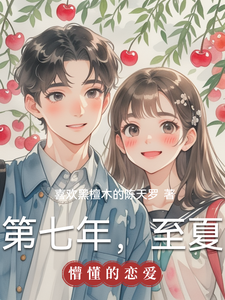 第七年，至夏 cover