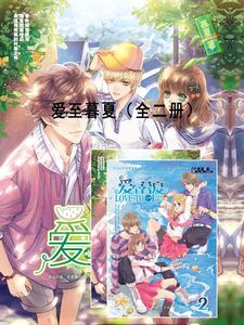 爱至暮夏 cover