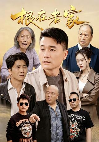 根在老家封面图
