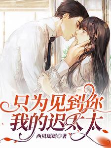 只为见到你我的迟太太 cover