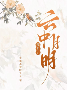 揽月：云中月明 cover