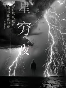星穷夜 cover