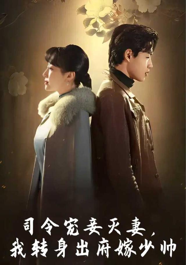 司令宠妾灭妻，我转身出府嫁少帅