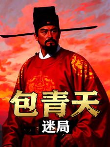 包青天迷局 cover