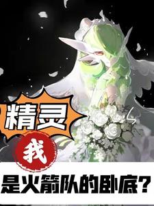 精灵:我是火箭队派来的卧底? cover