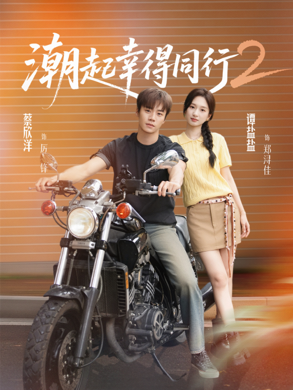 短剧《潮起幸得同行2》海报